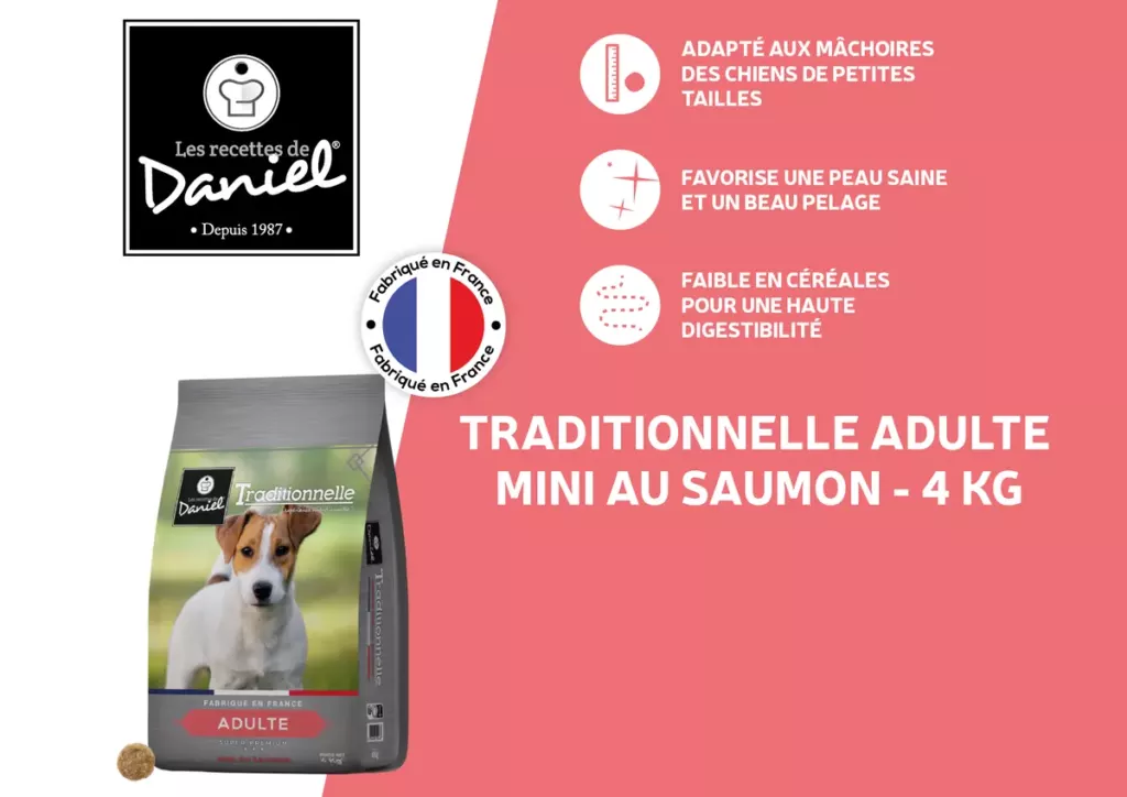 Croquettes Traditionnelle Adulte Mini au saumon, 4 kg : adaptées aux petites mâchoires, peau saine et beau pelage, faibles en céréales